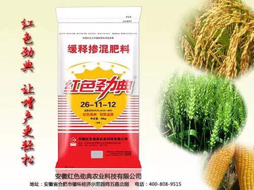 回家的路上，有茄子视频免费观看视频陪伴