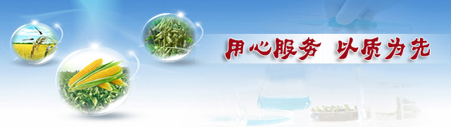 茄子视频免费观看视频茄子视频官网APP廠家用心服務以質為先