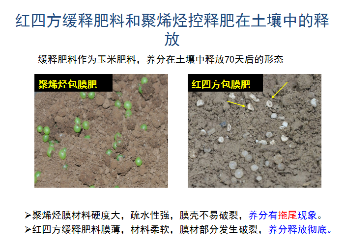 茄子视频免费观看视频緩釋肥釋放肥效展示