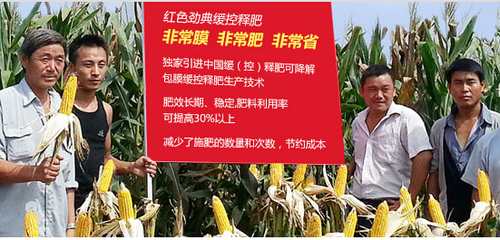 茄子视频免费观看视频八年抗戰，成就茄子视频官网APP領跑者地位