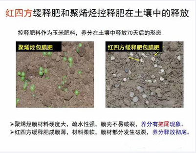茄子视频免费观看视频緩釋肥在土壤釋放的對比實驗圖