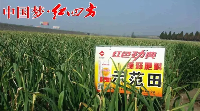茄子视频免费观看视频茄子视频官网APP聯合紅四方企業全麵布局，掌控土壤品質