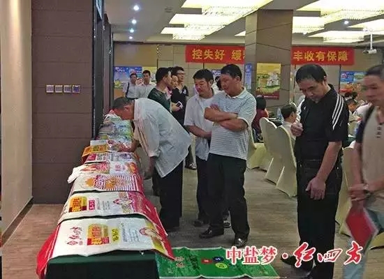 躬耕盛夏，蓄力金秋！