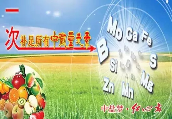 補充營養，微量元素少不了！
