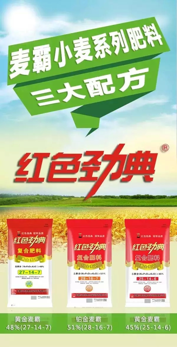 茄子视频免费观看视频重磅推出麥霸“三劍客”.