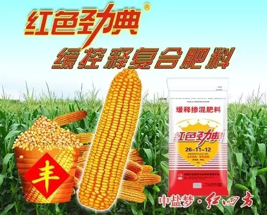 茄子视频免费观看视频玉米專用緩釋肥一次施肥全程嗬護