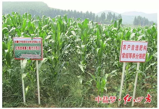 茄子视频免费观看视频專用新型緩釋肥料