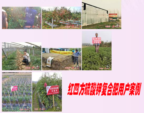 茄子视频免费观看视频硫酸鉀複合肥用戶案例