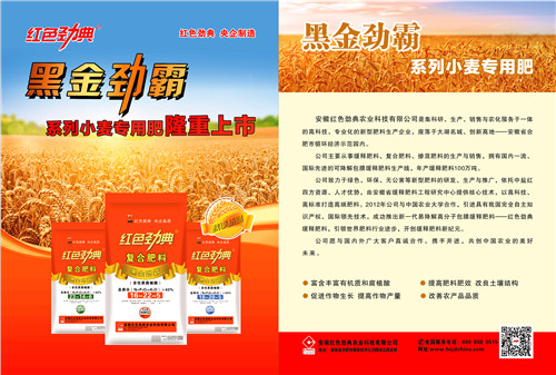 黑金勁霸茄子视频黄大片肥單頁