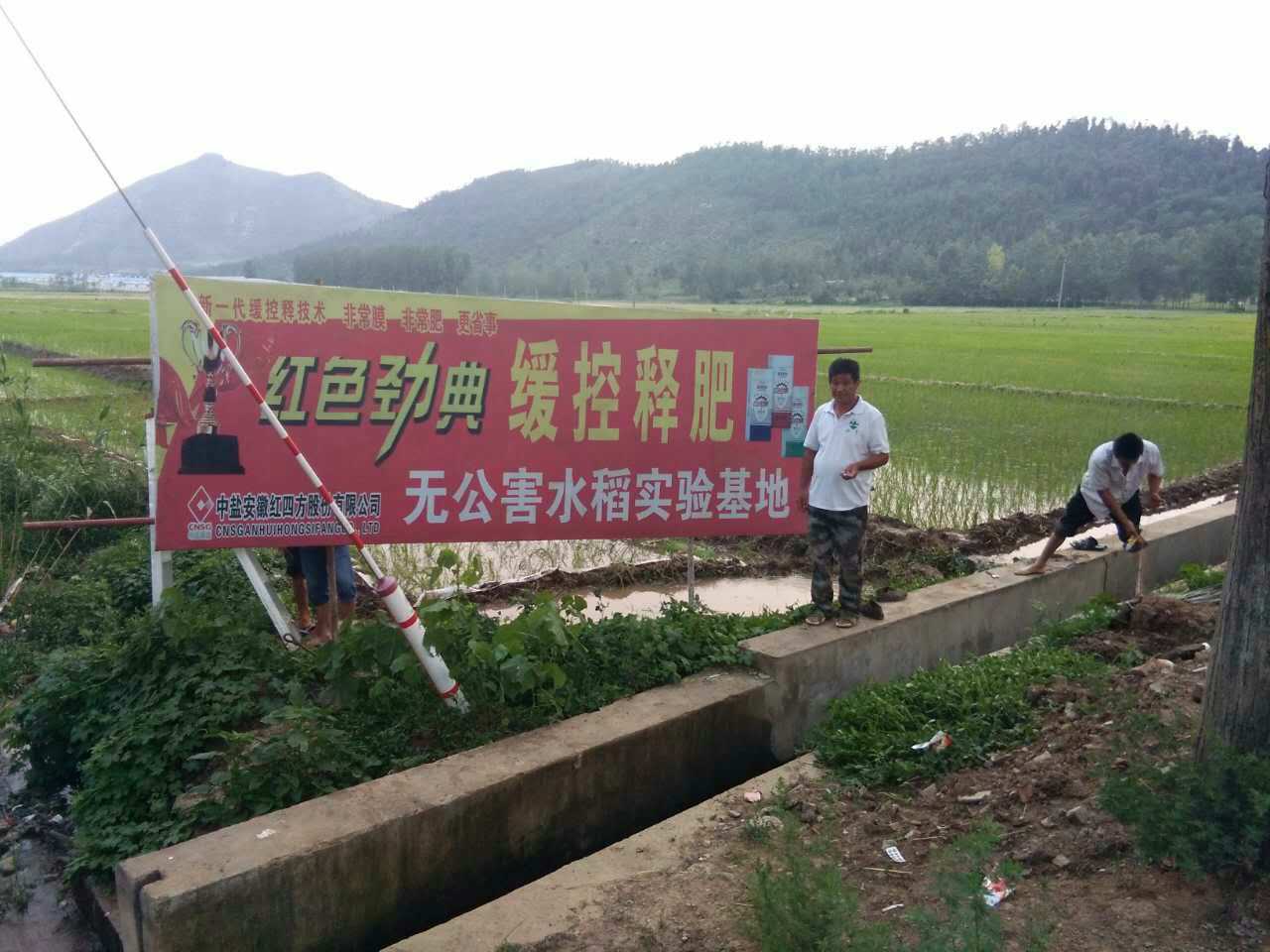 茄子视频免费观看视频無公害水稻茄子视频官网APP料