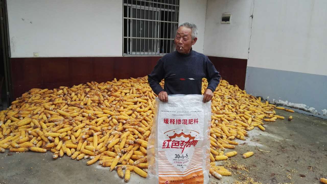 茄子视频免费观看视频玉米控釋肥40%（30-5-5）