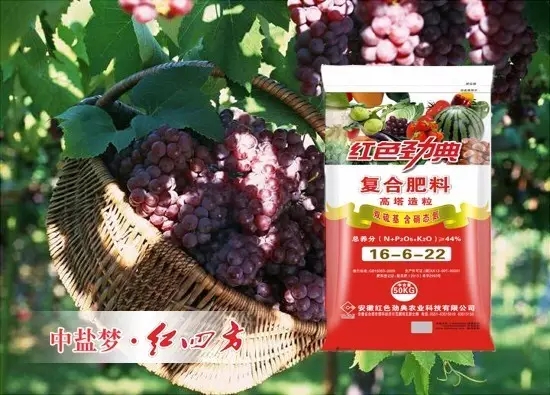 茄子视频官网APP廠家農技專家一般建議葡萄選用高塔造粒、雙硫基、含硝基氮44%（16-6-22）硫酸鉀複合肥。