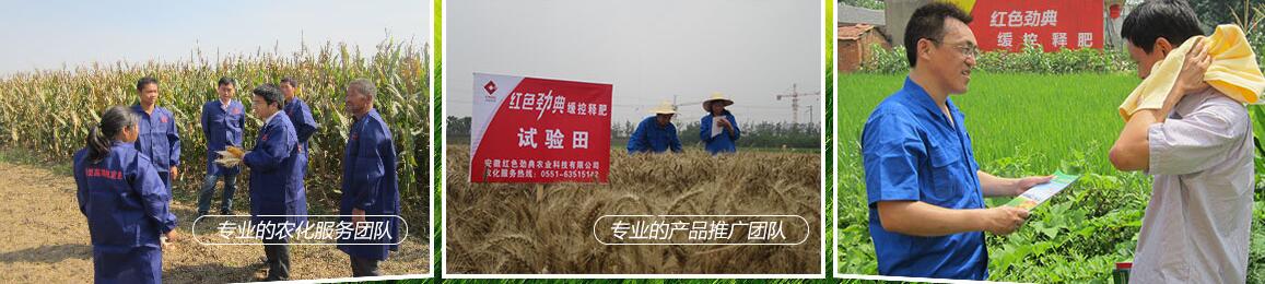 茄子视频免费观看视频茄子视频官网APP