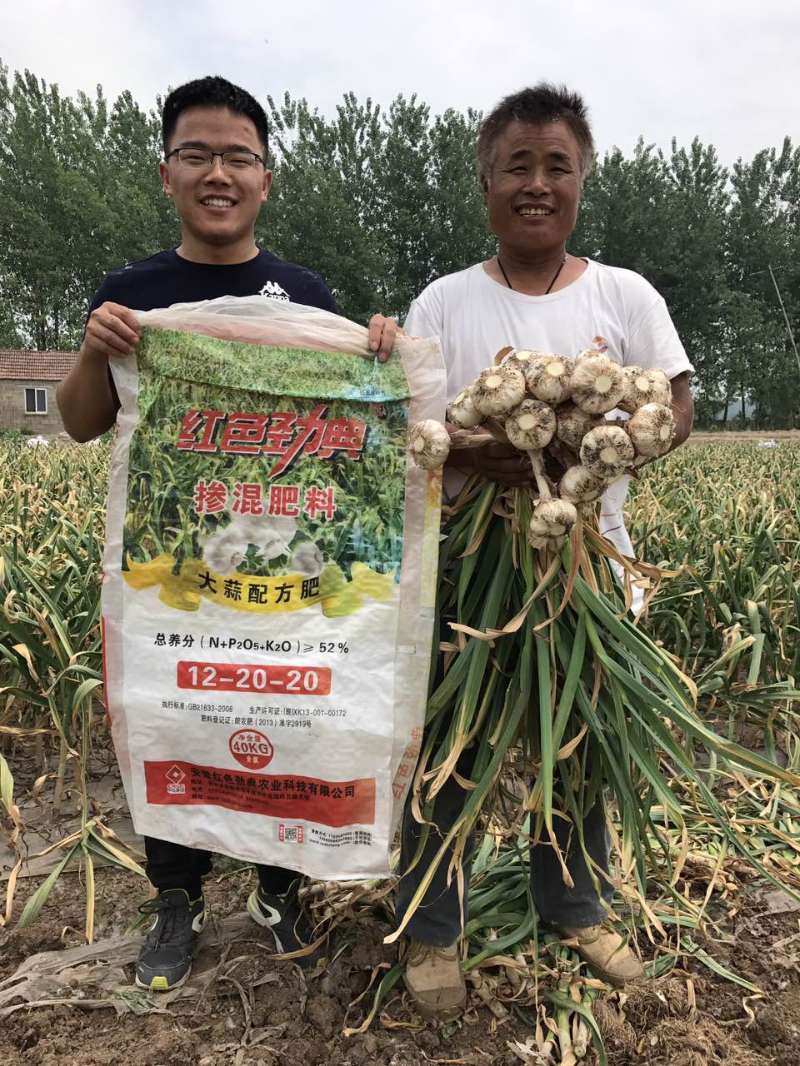 茄子视频免费观看视频摻混肥料大蒜配方肥真實案例