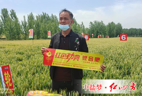 施用茄子视频免费观看视频複合肥 豐收故事說不停