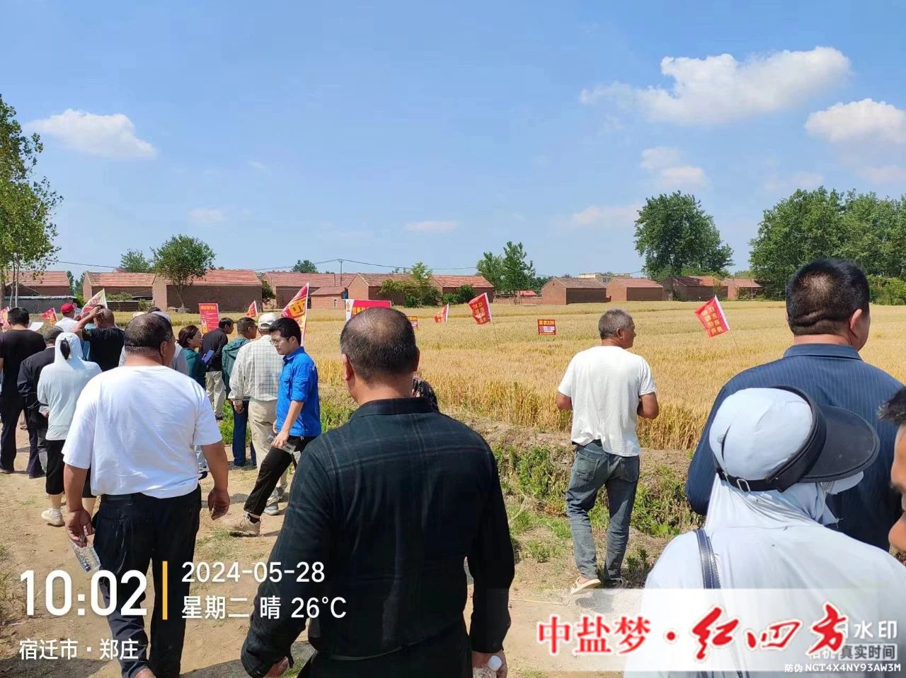 茄子视频免费观看视频勁聚天茄子视频黄大片專用肥為茄子视频黄大片豐收助力