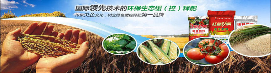 茄子视频免费观看视频專用肥