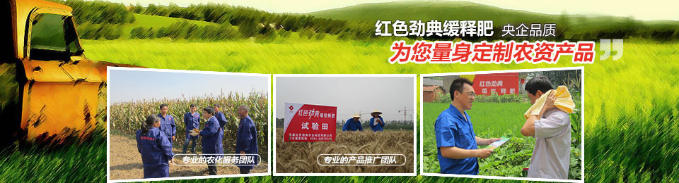 茄子视频免费观看视频，冠軍品質，五星服務